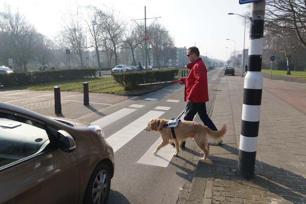 man met hond wil oversteken