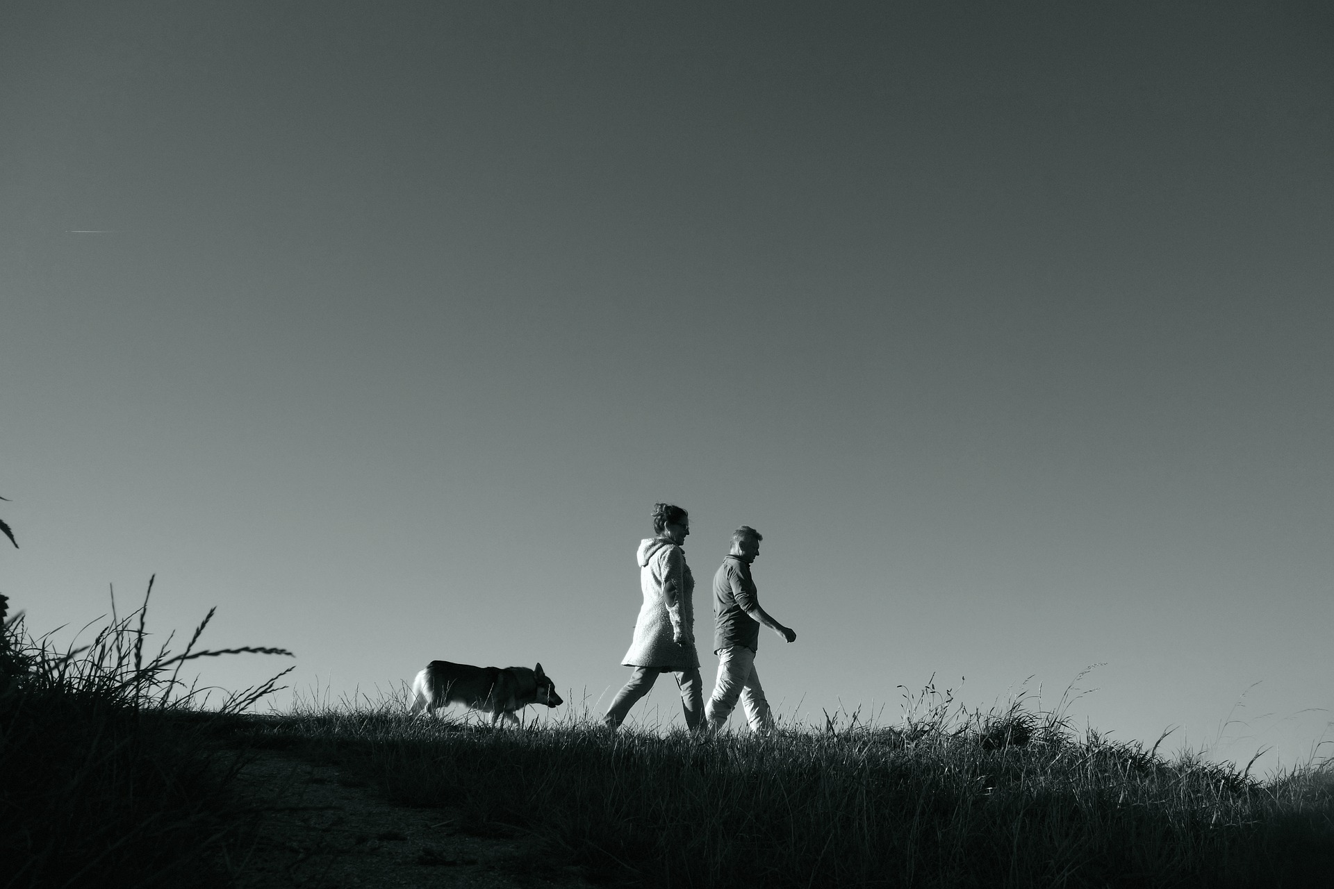 wandelgroep