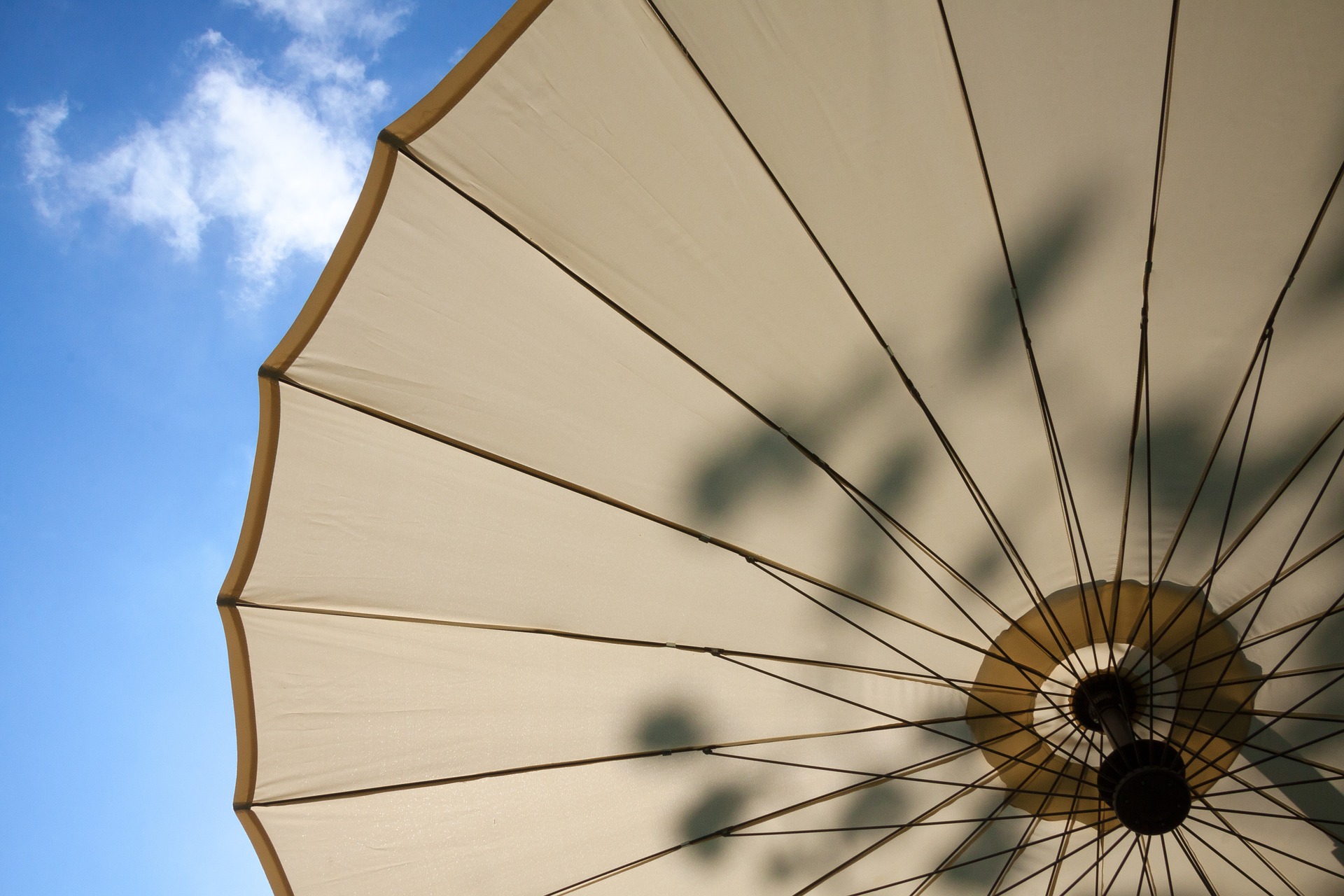 Parasol