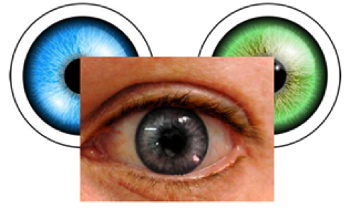 Irisprintlenzen