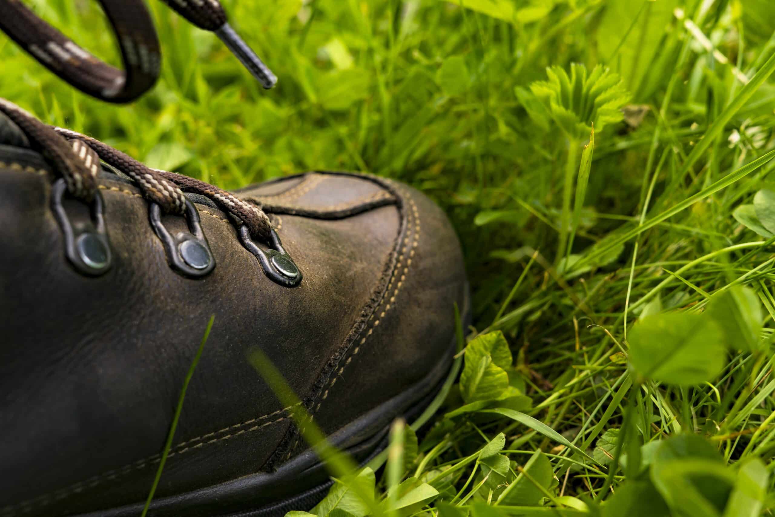 Wandelschoen in het gras