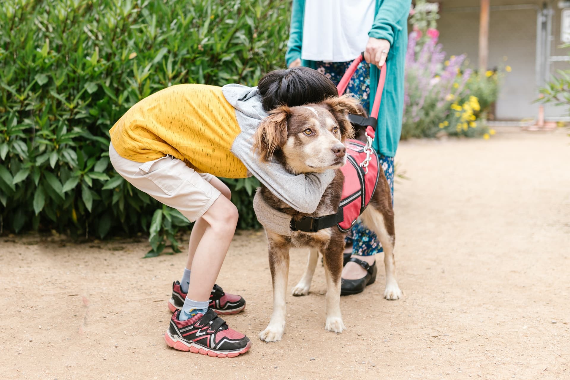 Een vrouw staat met een geleidehond, terwijl een andere vrouw de geleidehond een dikke knuffel geeft.