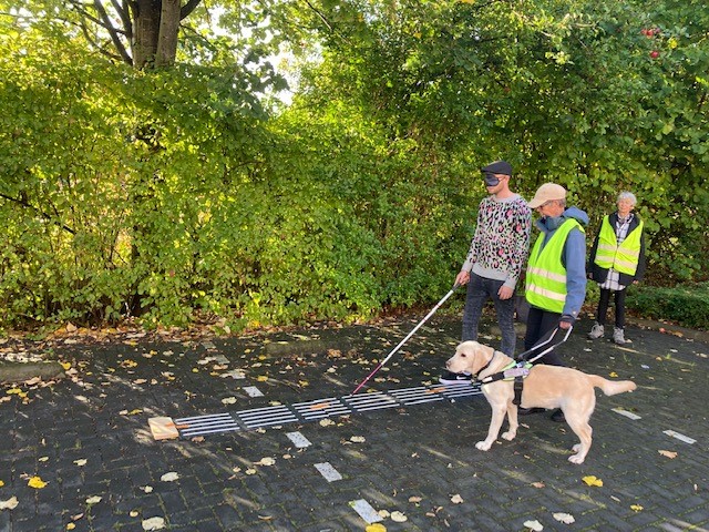 Voorlichting: man met simulatiebril loopt met stok over geleidelijn