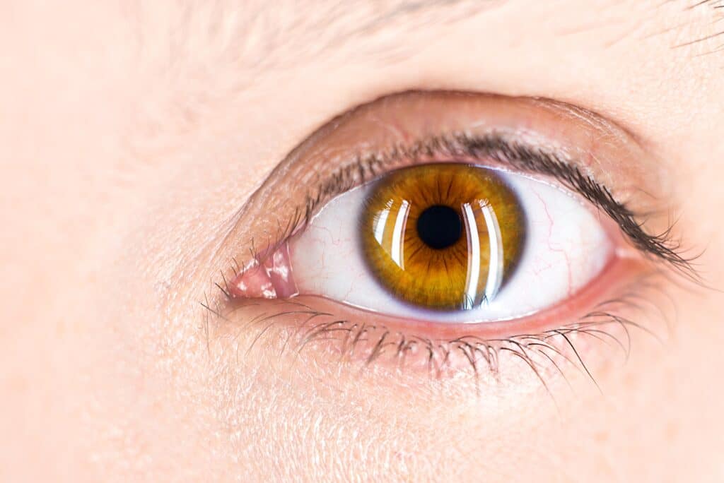 close-up van een oog