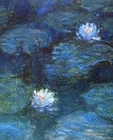 Waterlelies met blauwere gloed, Monet na verwijdering ooglens