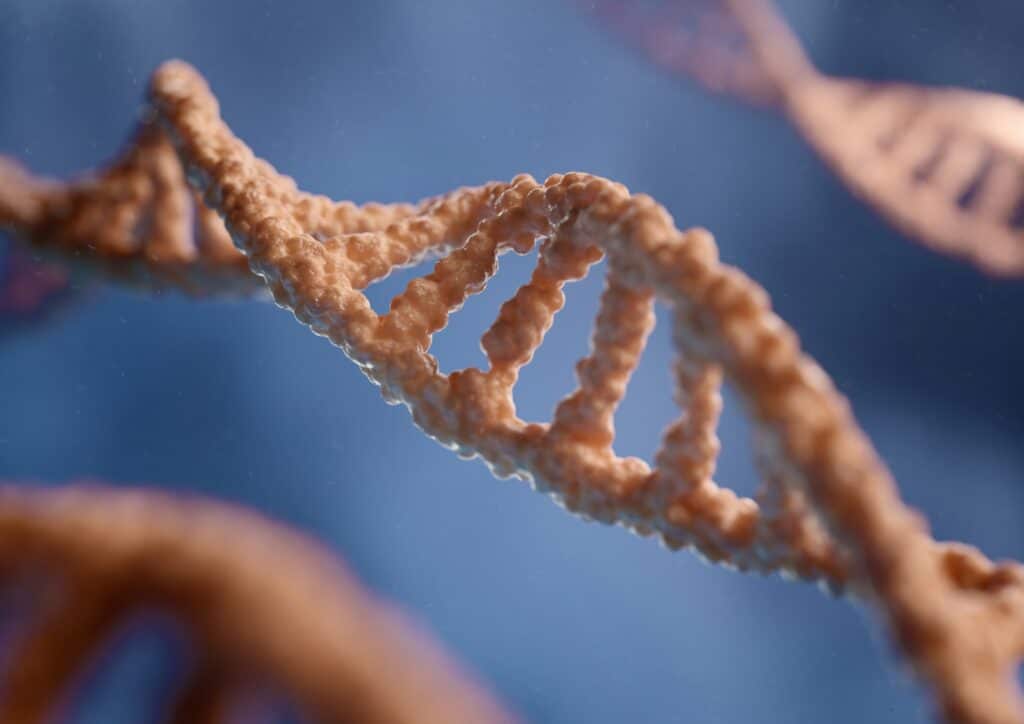 Een DNA-streng