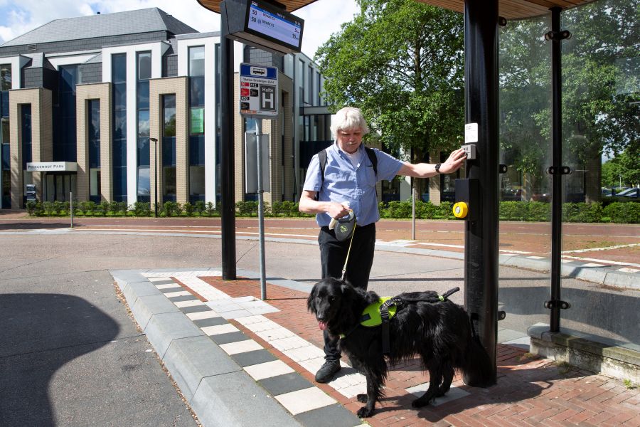 Een man met een geleidehond wacht bij een bushalte
